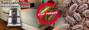 Stop-tungau